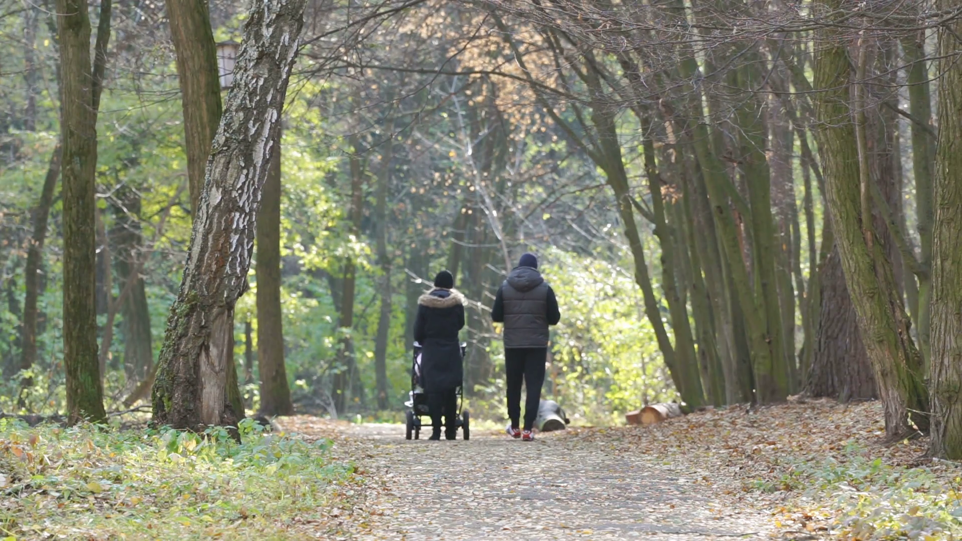 young-parents-walking-with-baby-stroller-in-forest-nice-sunny-autumn-weather_hxd6iopbg_thumbnail-full01.png